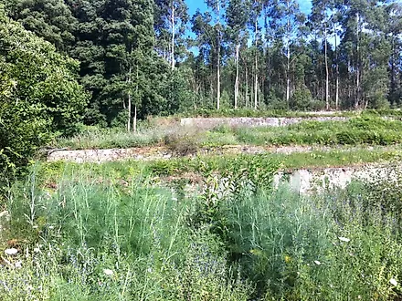 Land for sale in Caminha, Portugal — €160,000
