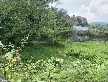 Land for sale in Caminha, Portugal — €75,000