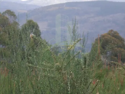 Land for sale in Caminha, Portugal — €90,000