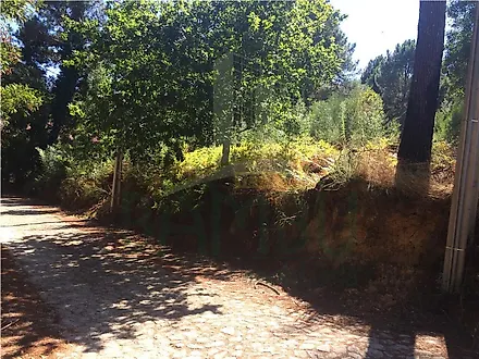 Land for sale in Caminha, Portugal — €80,000