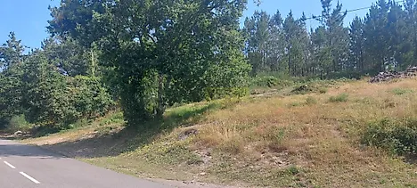 image-E1kft894rs6-0