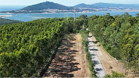 Land for sale in Caminha, Portugal — €120,000