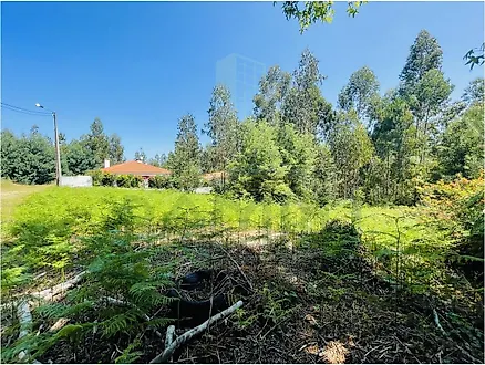 Terreno em Caminha