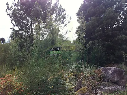 Terreno em Caminha