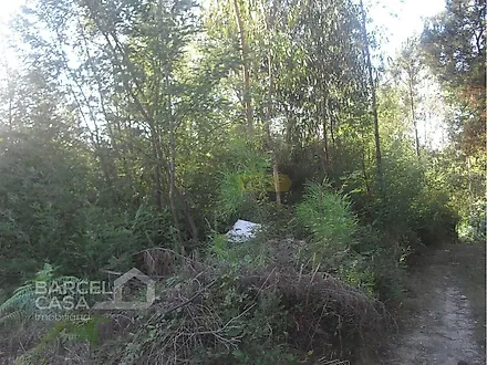 Land for sale in Barcelos, Portugal — €60,000