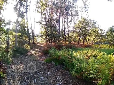 Land for sale in Barcelos, Portugal — €252,000