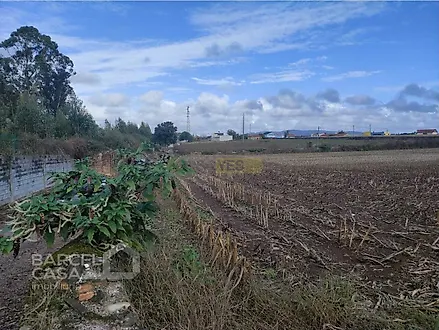 Land for sale in Barcelos, Portugal — €110,000
