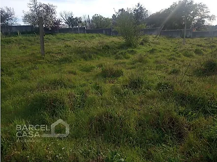Land for sale in Barcelos, Portugal — €65,000