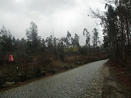 image-90jD8kw12JS-0