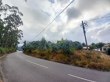 image-BYTuBAcShjZ-0