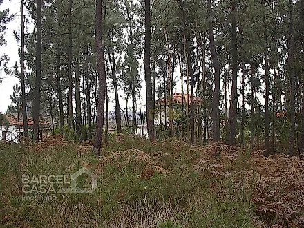 Land for sale in Barcelos, Portugal — €130,000