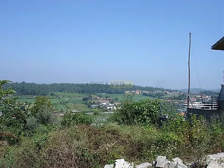image-FxNswPPKAWm-0