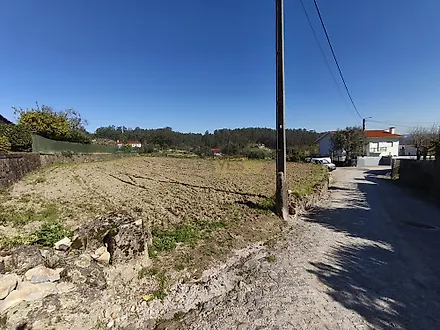 image-Lx619AWimxG-0