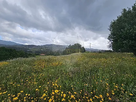 image-9fEUIxTxWyb-0
