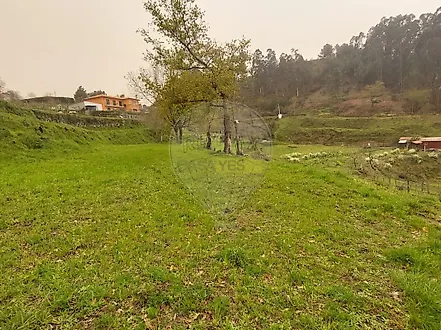 image-4w1s9DXNhPt-0