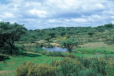 image-2ZTPJxJiqTG-0