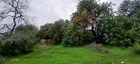 image-AqsA5zeRCi-0