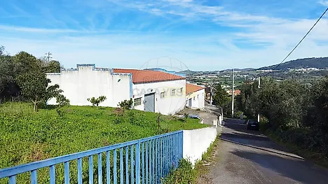 image-6xKxztGjdOk-0