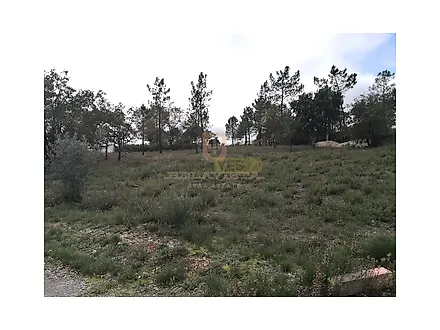 image-CLtjdqHVG7I-0