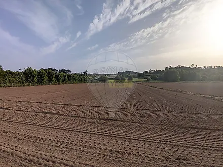 image-Gk9Olcx6k9Q-0