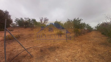 KUI1dL7M693
