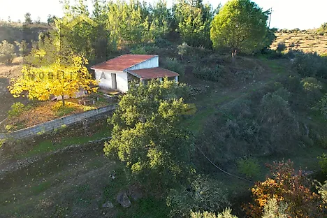 image-27azVZjaoD6-0
