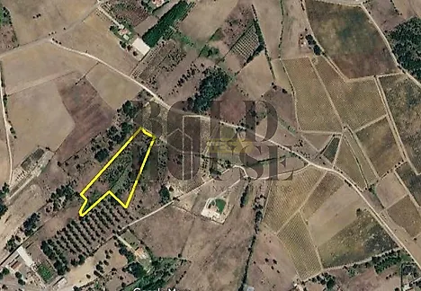 listing-1jwfHqYoCyl