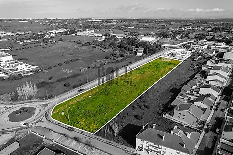 Land for sale in Cartaxo, Portugal — €1,006,000