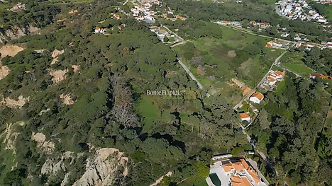 image-91ByKdk36JX-0