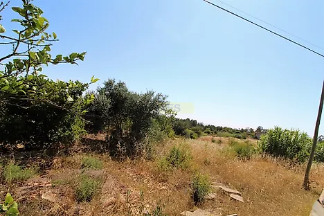 image-s1qFtU1emX-0