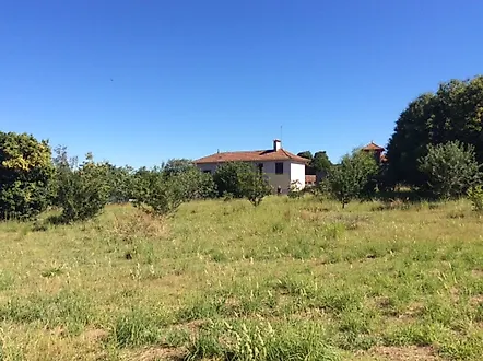 image-9MXQVsM858i-0