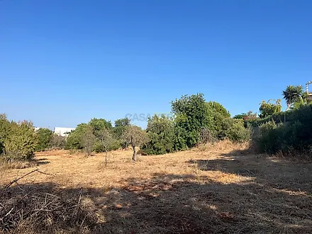 image-JbkDkETKVBR-0
