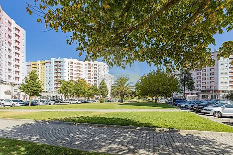 image-3zEJ0GfNpyX-0