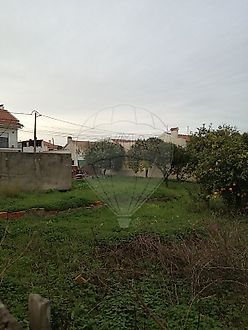 image-C3LZahKeKpl-0