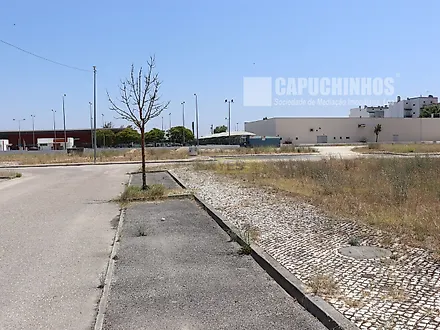 Land for sale in Coruche, Portugal — €145,000