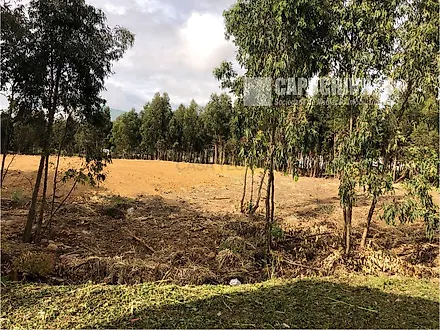 Land for sale in Sintra, Portugal — €4,750,000