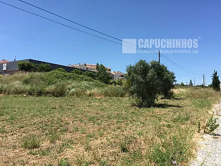 Land for sale in Torres Novas, Portugal — €330,000