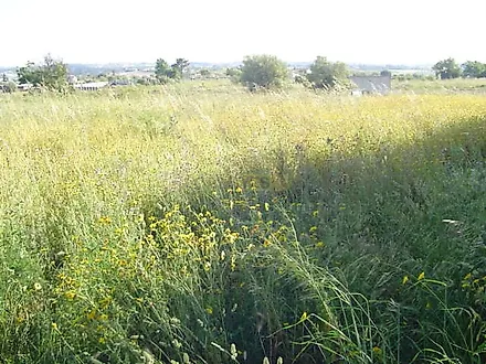image-KzhWaNoakAf-0