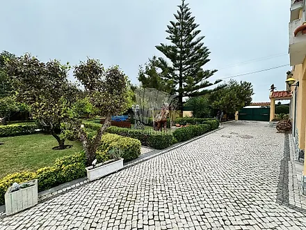 image-6P4pnuIvixG-0