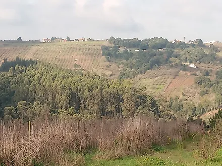 image-ECCHlUSOMjY-0