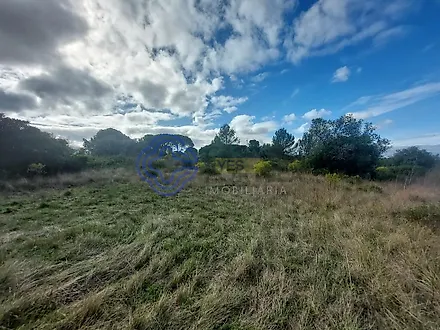 image-2UnIOgvIdrV-0