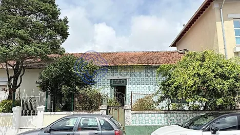 image-IPKNpKZgvfH-0
