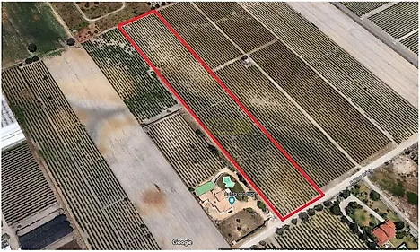 Land for sale in Palmela, Portugal — €169,000