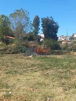 image-86LPvr9Pq9r-0