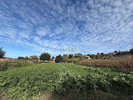 image-9BIbSgVxE2Y-0