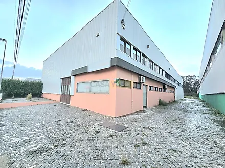 image-HZcb4l5H224-0