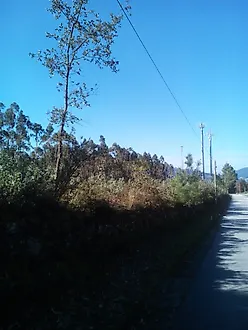 image-IDOG4qLcMgj-0