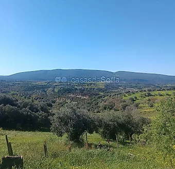 image-EwaTHiITp6v-0