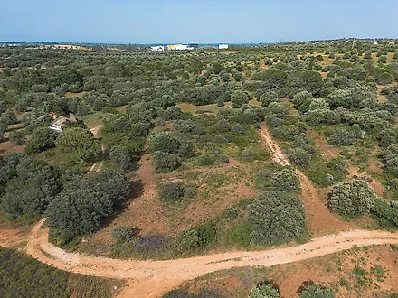 image-9ZxCdOmnuCd-0