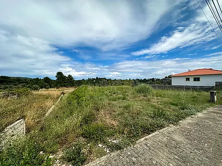 image-LTMAeDJD2Dk-0